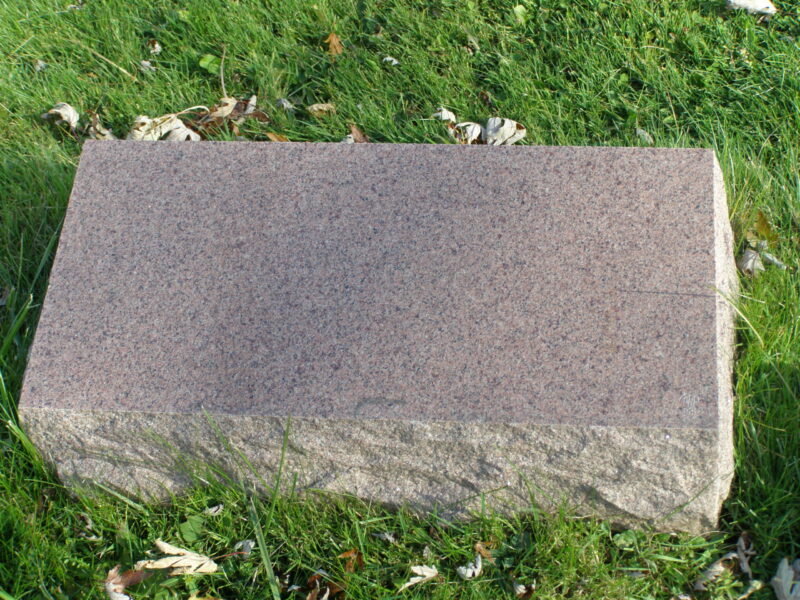 A stone slab in the grass with some leaves